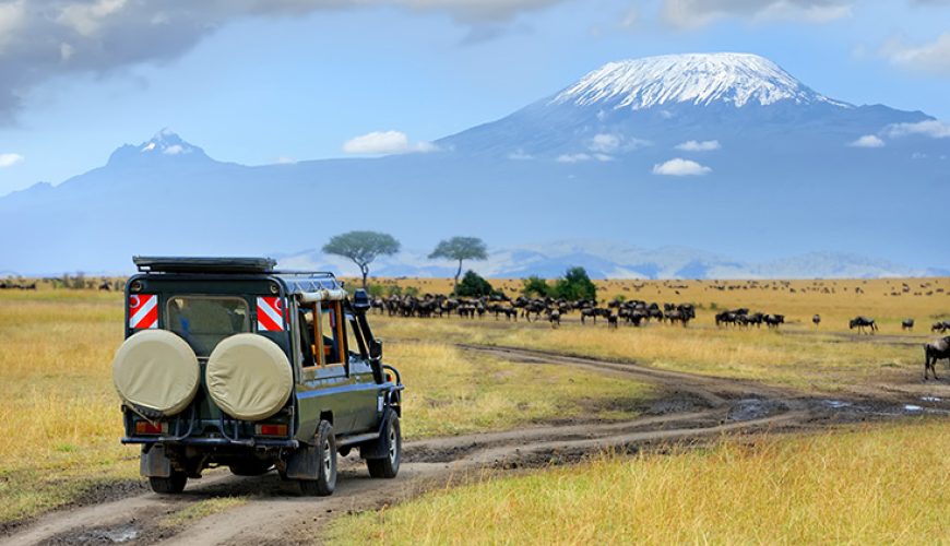 Increíble Tanzania al completo con vuelo escénico a Zanzíbar. Viaje de novios Esther y Carlos