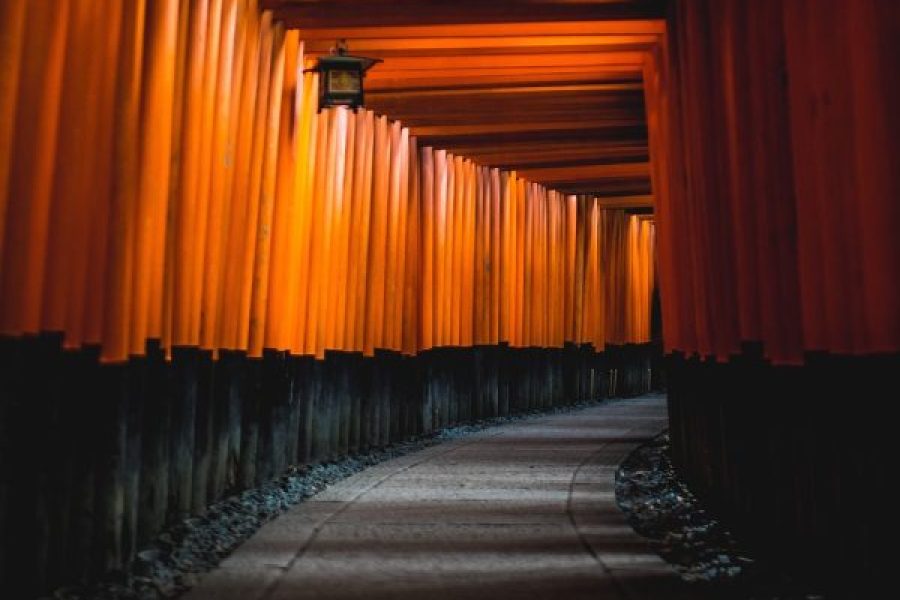 Luna de Miel a Japón a tu alcance